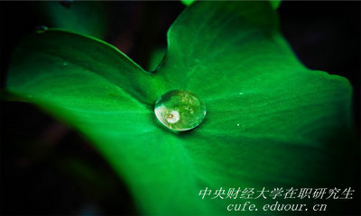 報考中央財經(jīng)大學(xué)在職研究生能升職嗎？